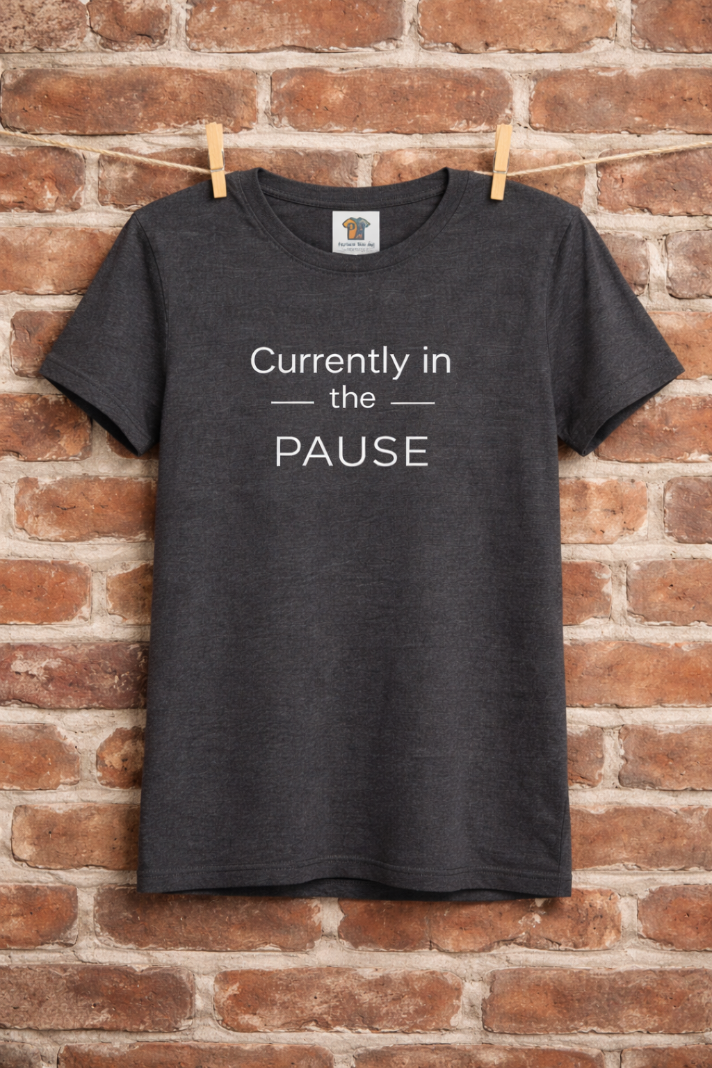 Currently in the Pause T-Shirt | Funny Menopause Shirt for Women | Perimenopause Humor Tee | Midlife Women Graphic Tee